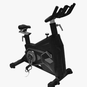 BS900 SPIN BIKE