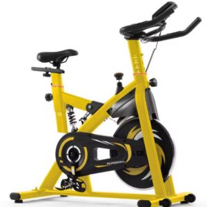 BS700 SPIN BIKE